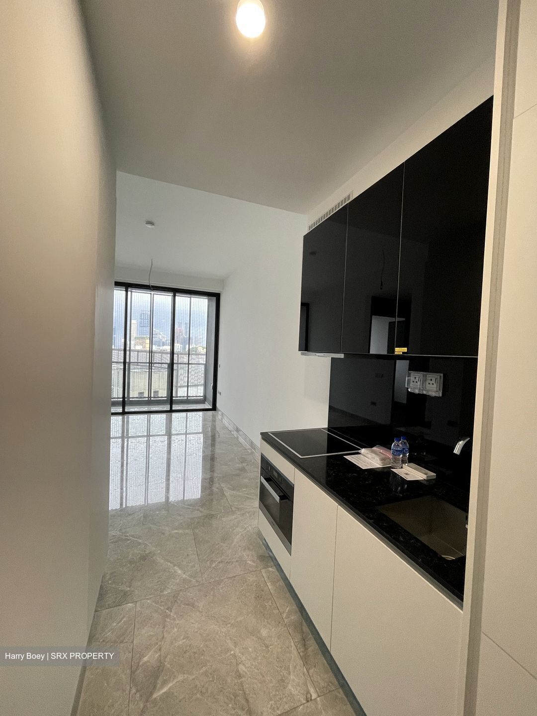 Martin Modern (D9), Condominium #322408041